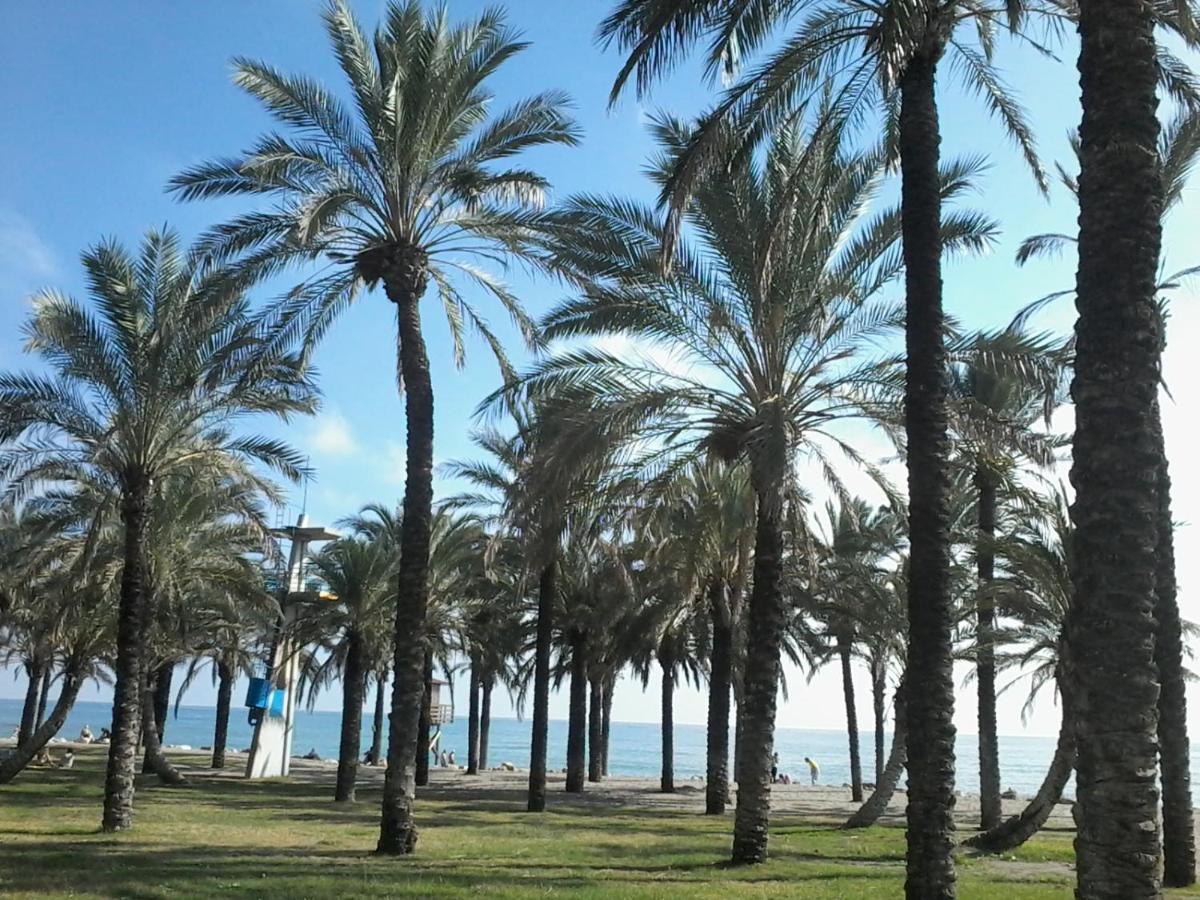 Estudio Costa Del Sol - טורמולינוס מראה חיצוני תמונה